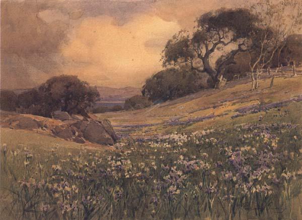 unknow artist Landscape with Field of Iris